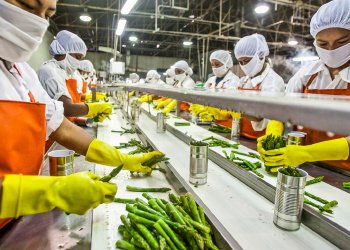 Food Processing Industry