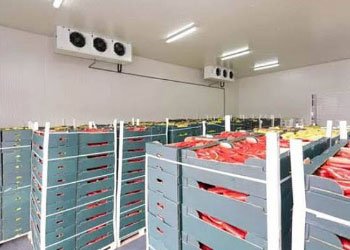 Commercial Fruit Growers & Orchards