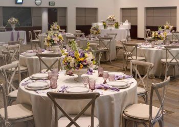 Corporate & Event Catering Companies