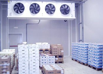 Dairy Manufacturing