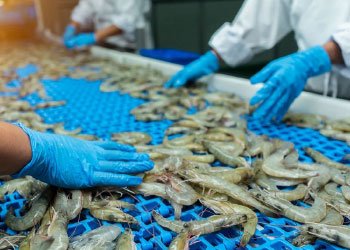 Seafood-Processing-