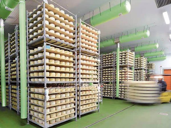 Dairy Cold Storage & Refrigeration Solutions
