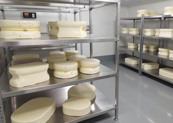 Foodservice Dairy Suppliers