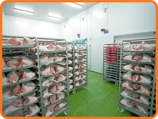 Meat & Poultry Cold Storage Solutions