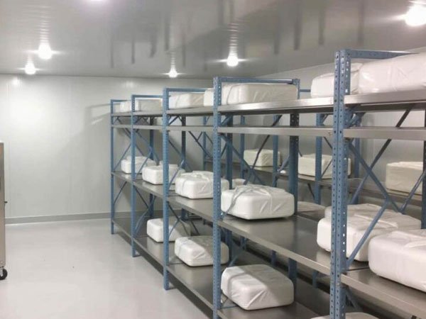 Why Choose TempKold for Dairy Cold Storage?